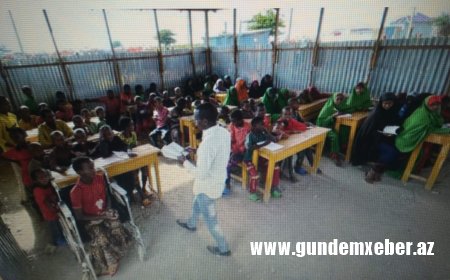 Yerdə mal-qaranın sümüklərini görə bilərsiniz