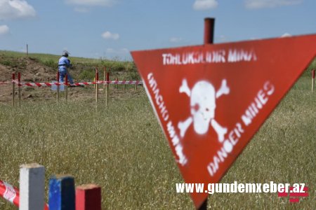 ANAMA azad olunmuş ərazilərdə həftəlik görülən işlərlə bağlı məlumat yayıb