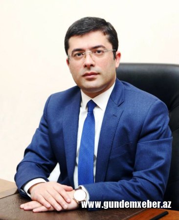 “Killer jurnalist”lərin “Ayı xidməti”- Medianı “Eşşəyə tərs mindirənlər”