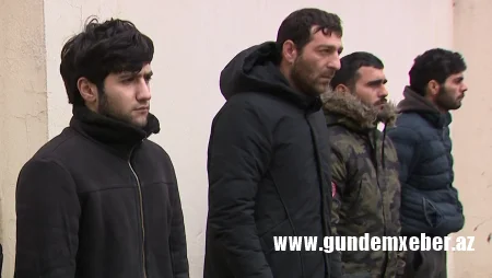 Mopedləri oğurlayan dəstə üzvləri tutulub - FOTO