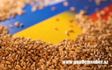 Ukrayna limanlarından 21 milyon tondan çox ərzaq ixrac edilib