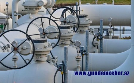 Niderland artıq Rusiya qazından asılı deyil