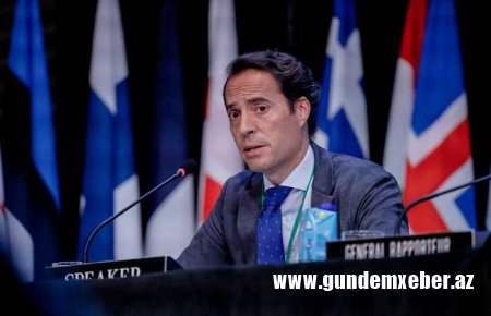 NATO Gürcüstanın xarici agentlər haqqında qanun layihəsindən narahat olduqlarını bildirir