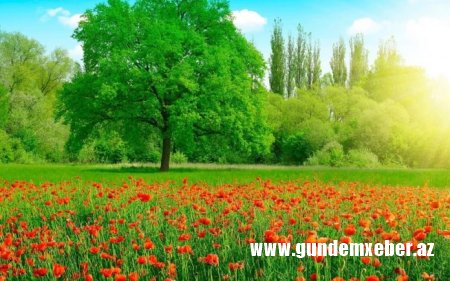Temperatur 28 dərəcəyədək yüksələcək