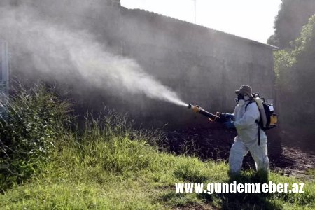 Argentinada epidemiya: 70 mindən çox yoluxma