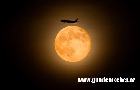 Gürcüstan bir sıra Rusiyanın aviaşirkətlərindən respublikaya uçuşlar həyata keçirmək üçün müraciətlər alıb