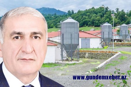 Depuatın borc içində batan şirkəti məhkəmə qarşısında - 10 min manatlıq cərimə...