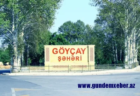 SSİ-nin rəhbəri Orxan Mahmudov dövlət əmlakını necə talan edir? – VİDEO