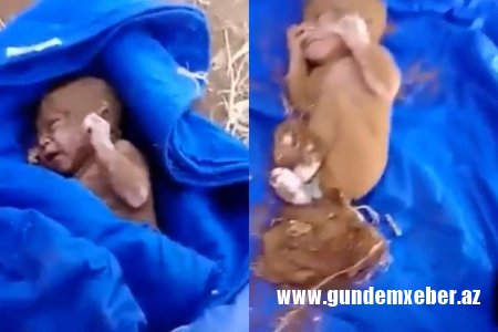 Liviyada palçıq qatının altından yeni doğulmuş körpə çıxarılıb - VİDEO