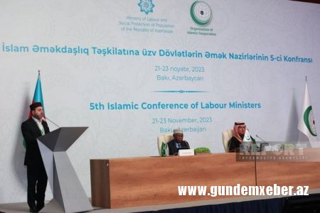 İƏT Əmək Nazirləri Konfransının Qətnaməsi qəbul olunub - YENİLƏNİB