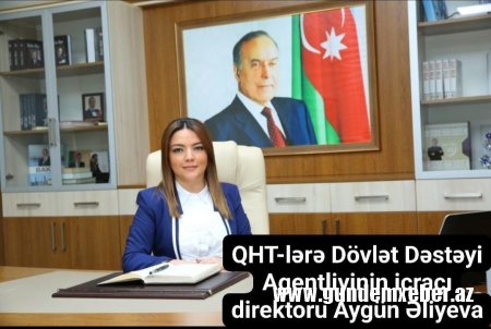 QHT-lərə Dövlət Dəstəyi Agentliyində baş verən korrupsiya faktları sərhəd tanımır –İLGİNC FAKTLAR ​