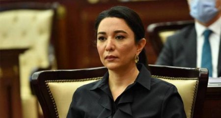 Ombudsman məktəblilərin qeyri-etik görüntüsü ilə bağlı məsələni nəzarətə götürüb