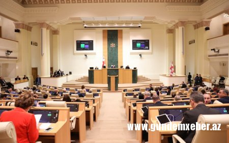 Gürcüstanda hakim partiya LGBT təbliğatına qarşı qanun layihəsi hazırlayıb