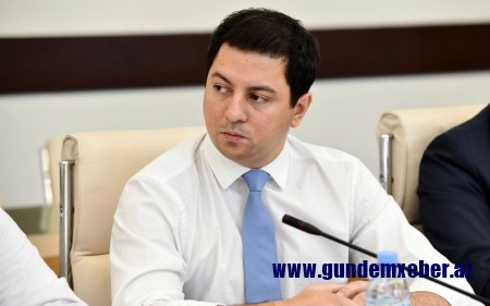 Gürcüstan parlamentinin vitse-spikeri: Zurabişvilinin referendumla bağlı təşəbbüsü təhqirdir