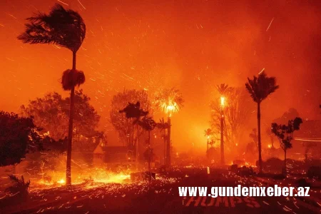 Amerikalı aktrisa evində diri-diri yandı