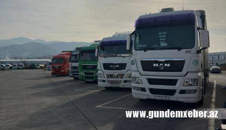 Gürcüstan 20 gündür Azərbaycan “TIR”larını gömrükdən buraxmır