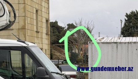 Dərnəgüldə ağaclara qənim kəsilən kimdir? – Fotolar-Yenilənib