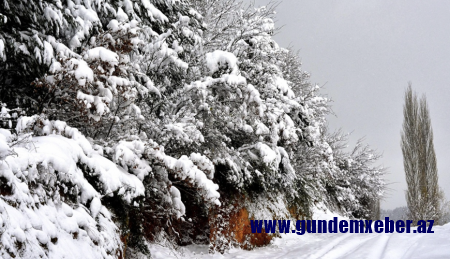 Temperatur 8 dərəcə enəcək, yollar buz bağlayacaq- Xəbərdarlıq