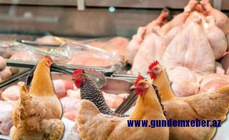 Türkiyədən QADAĞA: Azərbaycanda toyuq bahalaşacaq?
