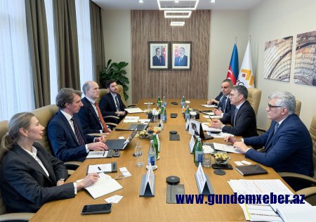 Zakir İbrahimov “Wood Mackenzie”nin vitse-prezidenti ilə görüşüb