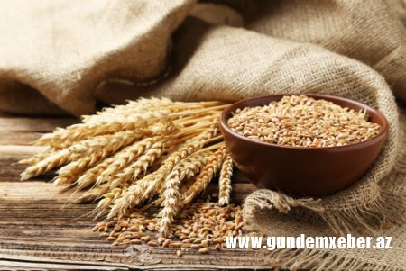 Dünyada buğda qıtlığı yaranır, qiymətlər kəskin arta bilər – Azərbaycanı nə gözləyir?