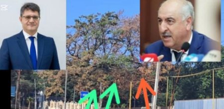 Masallıda meşə qalmaqalı iddiası: dövlət fondu ərazisində ağac kəsimi ilə bağlı suallar və ziddiyyətlər - FOTOFAKTLAR