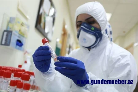 Hantavirus COVID-19-dan təhlükəlidir? – Alimdən AÇIQLAMA