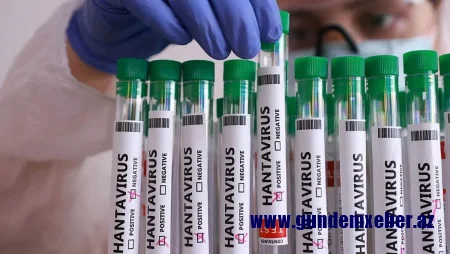 Fransada hantavirusa ilk yoluxma təsdiqləndi
