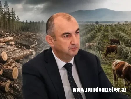 Dövlətin yaşıl siyasətini “qara biznes”ə çevirənlər… - Ekologiyanın “boz kardinal”ı Vüqar Kərimova ağır ittihamlar
