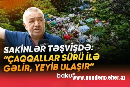 "Üfunətdən nəfəs almaq olmur" - Sakinlər antisanitar vəziyyətdən ŞİKAYƏT ETDİLƏR - VİDEO