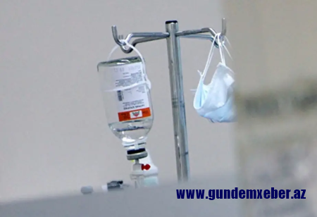 Braziliyadakı sarı qızdırma epidemiyasının səbəbi tapılıb